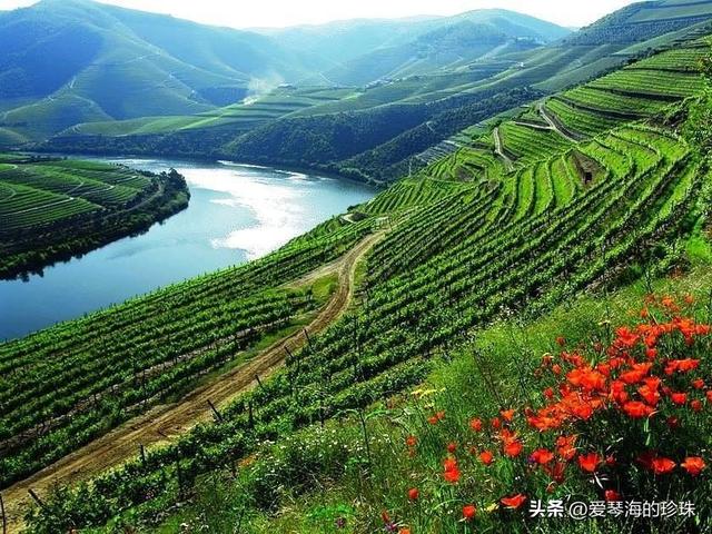 葡萄牙的 9 颗世界遗产明珠：解锁历史、自然与文化的交融之美