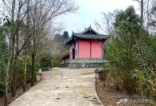 成都龙泉森林徒步路线，被严重低估，不要门票，拍照超级出片！