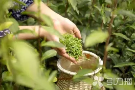 @苏州人 9月新规来了！涉及公交出行、好评返现、彩票兑奖等图片