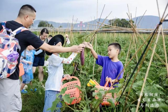 甜甜甜！“保姆级”采摘攻略！周末就出发→