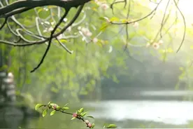 人生拼到五十多岁，剩下的时间要富养自己图片