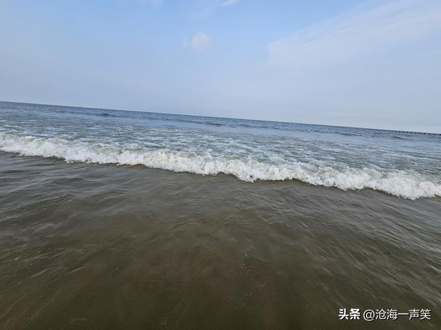 大海的世界，有童话有嬉戏，有欢笑有乐趣，有津津乐道、海阔天空