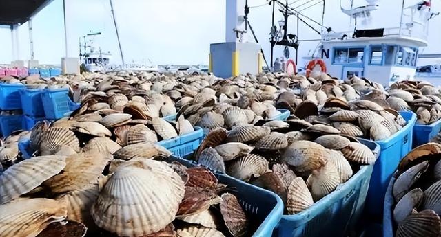 果然不出所料！高市早苗“黑料”被扒出，她最大的敌人并非中国