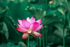 发现没，60岁后，夫妻若没有睡在一起，说明你存在这4个“问题”图片