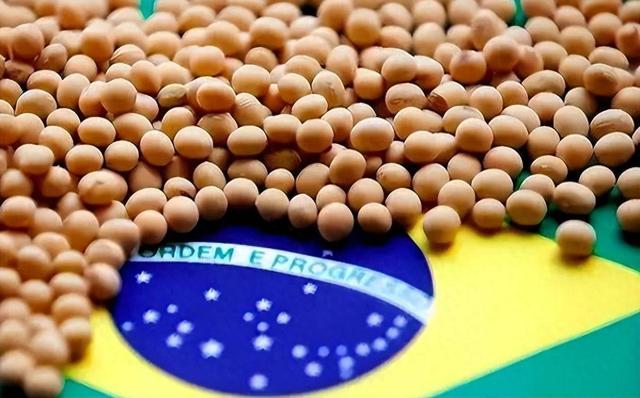 美子弹已上膛，美财长通知中国交出稀土，话音刚落，中方停购大豆