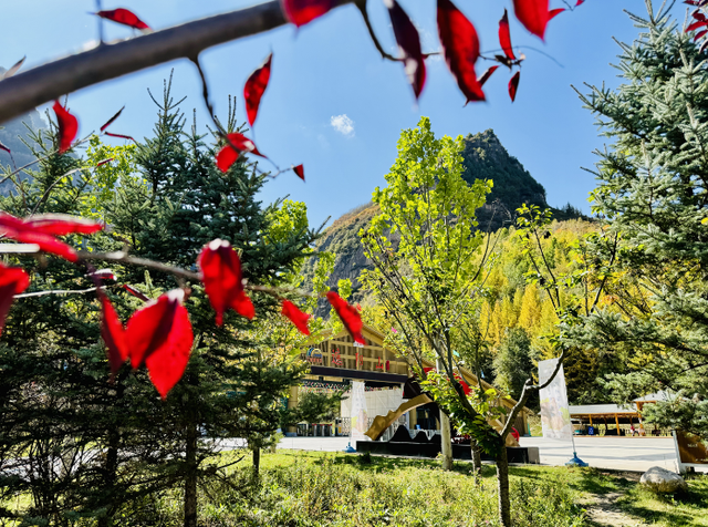 这么好看，不愧是遮阳山的秋天！