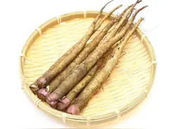 牛蒡——大自然的清热解毒良药图片