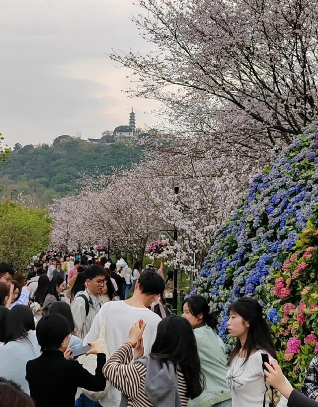 挤疯了！苏州上方山百花节开幕，这场面比春运还吓人？