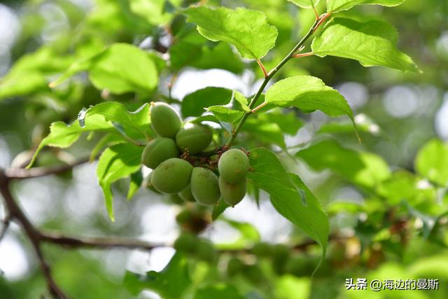 常州｜严重低估的小众一日游，照着走就对了