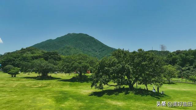 叔叔阿姨的《山海松弛秘籍》，我学了！