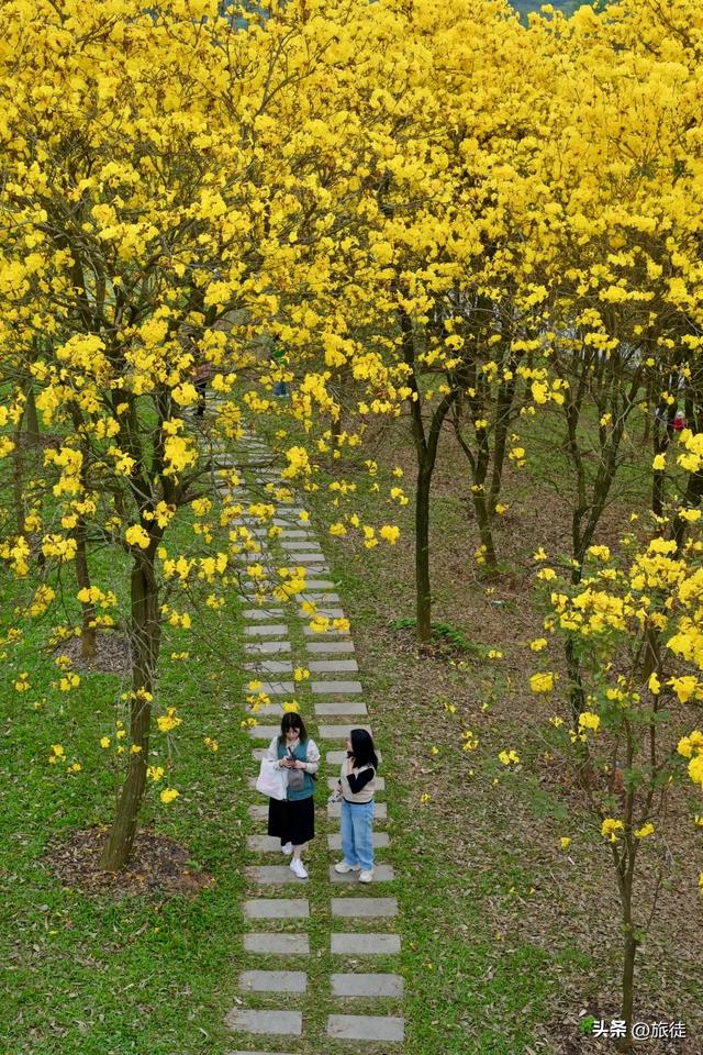 【跟着旅徒游广西】之四十：南宁｜青秀山公园