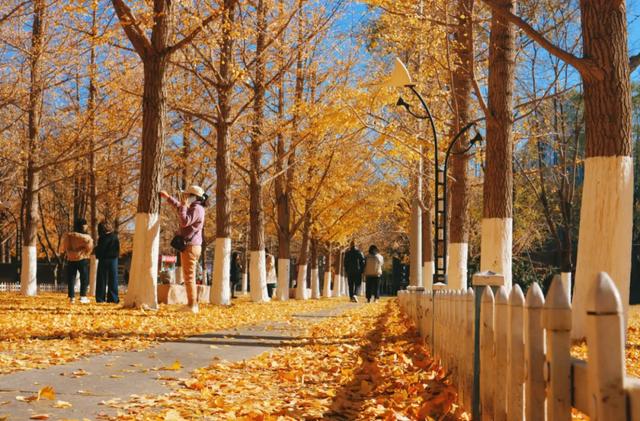 园中园，画中画，秦皇岛一河两园自然馈赠！