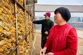 养好黑土地 护航粮满仓——全国首单侵蚀沟治理工程新增耕地指标交易系列报道①图片