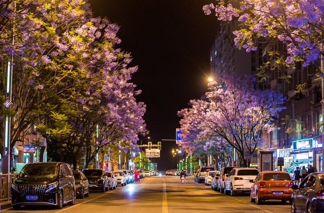 比大理浪漫！比昆明更近！高铁直达阳光小城，2万株蓝花楹美疯！观海登山，美食吃到爽！