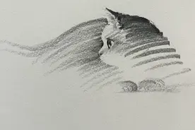 三年磨几笔，只为了简单画猫咪图片