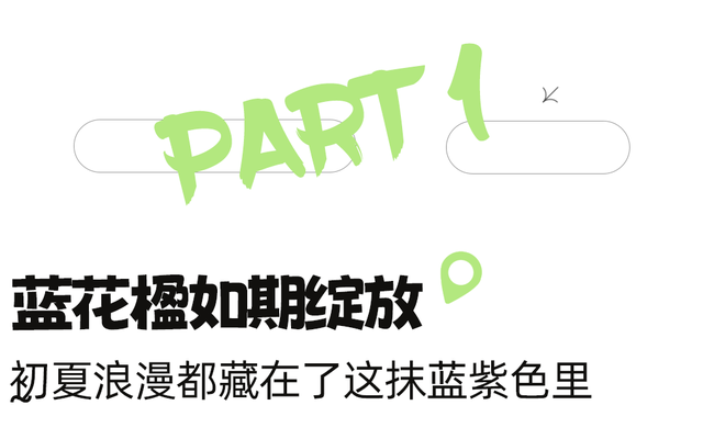 地铁直达！全部免费！成都15个被问爆的赏花地，蓝花楹三角梅美疯了