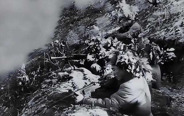 相隔1000公里，依然挡不住韩国觊觎，长白山究竟有何特别？