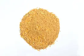 5月10日，养猪人卖猪的价格，猪价要起来吗？图片