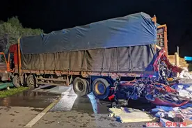 造成1人死亡！司机高速公路上捡鱼引发惨剧图片