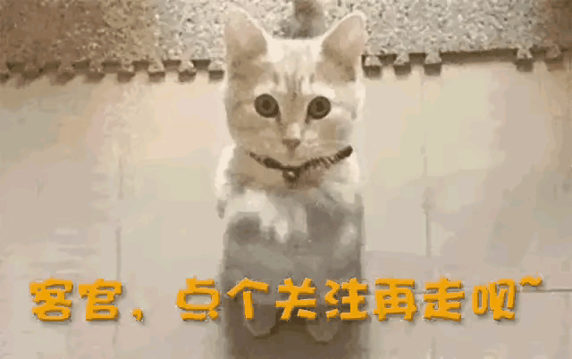 麻烦大了！不到48小时，闫学晶再传2大噩耗	，就连何庆魁也被牵连