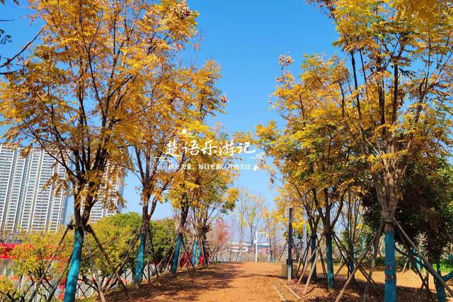 宁波慈溪这处风景被人忽略但很优美，即将迎来绚烂时刻，值得游玩