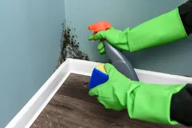 “霉菌”最爱的夏天，这些区域成家中重灾区图片