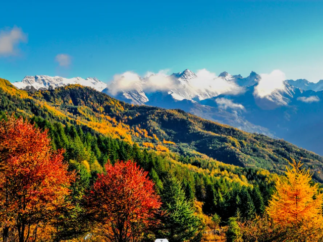 免票！5折！2025秋假大礼包特惠来啦！多重惊喜等你解锁→