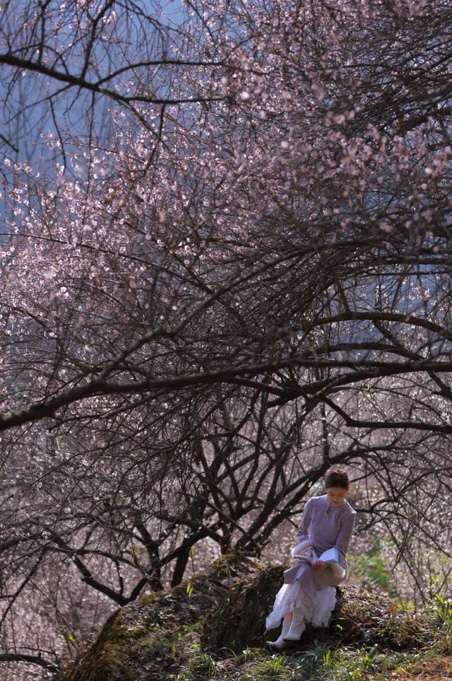满屏梅花🤩不用怀疑！你期盼的春天提前来了！