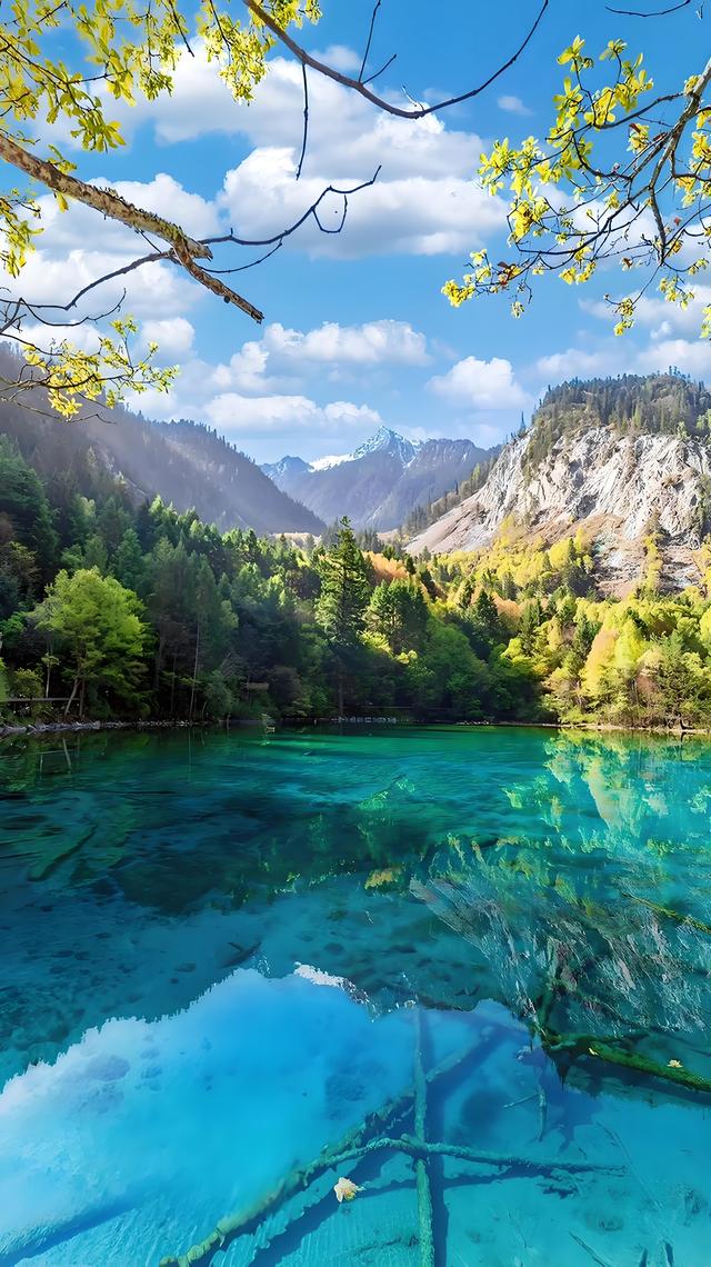 中国十大 5A 级景区排名