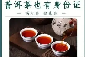 一篇文章让你成为普洱茶行家，关于普洱茶的100个核心词汇(一)图片