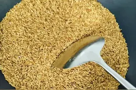 炒焦的大米竟是脾胃 “良药”！简单两步做好，每天喝出好脾胃图片