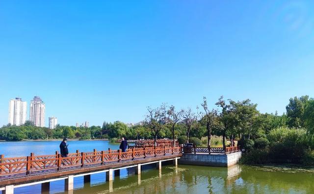 云龙公园春色好，绿肺含韵润彭城