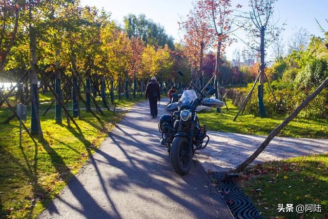 寻找大理海西的最美绿道，色彩缤纷秋意盎然，目测已经开始落叶啦