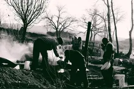 某生产队，一个猪喂了3年多重，您可能不信图片