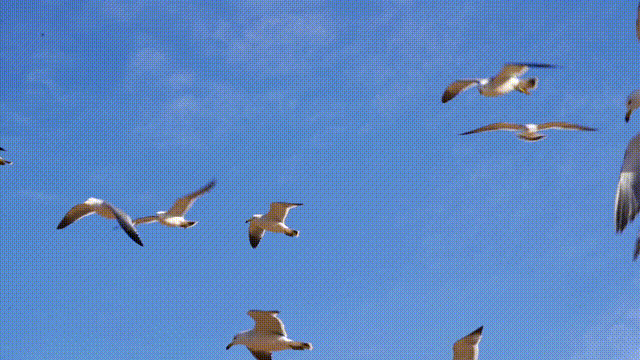 【乐游烟台】十二月好去处丨雪雪雪！烟台即将美成仙境