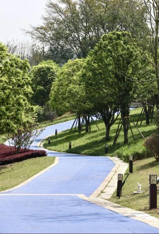 首个春假！家门口的露营野餐地随便挑