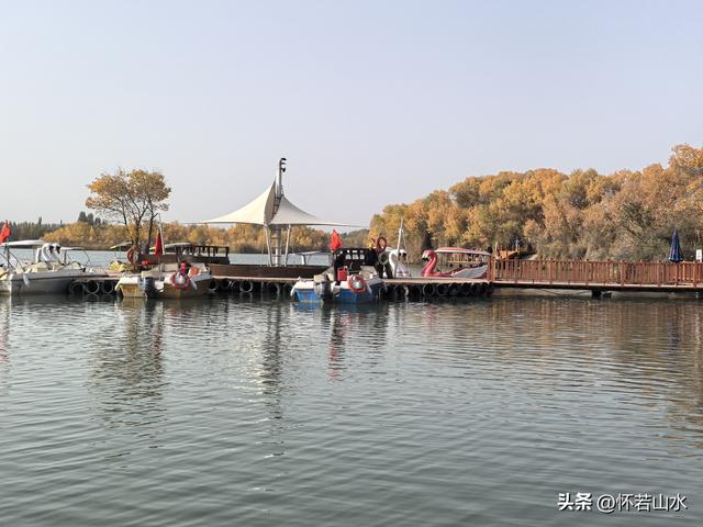 2025环南疆沙漠铁路背包自由行日记(4)——游览泽普金湖杨景区