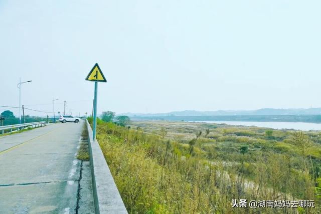 0.5H直达长株潭私藏“小白洋淀”，荻花摇曳处解锁老船厂遛娃秘境！