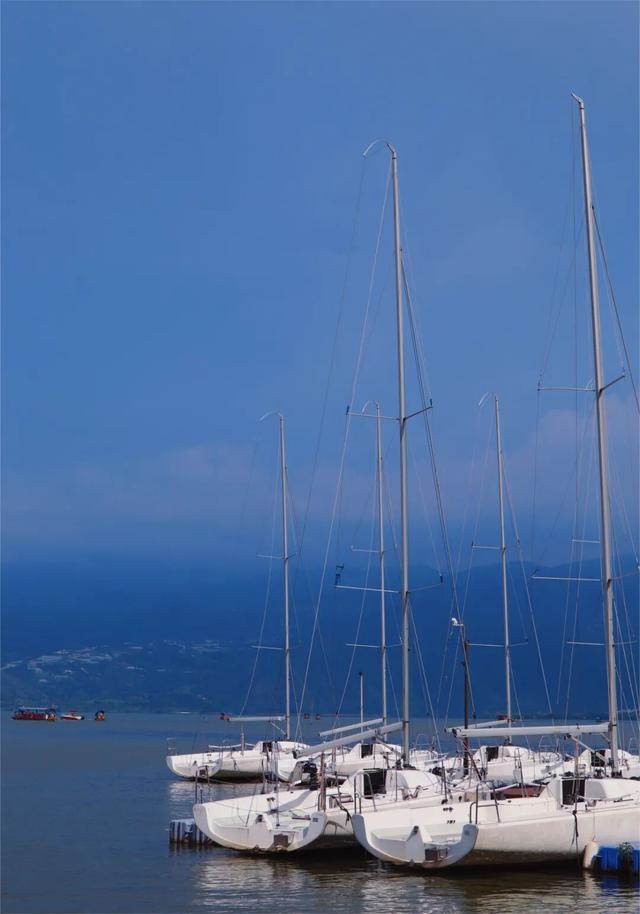 比大理浪漫！比昆明更近！高铁直达阳光小城，2万株蓝花楹美疯！观海登山，美食吃到爽！