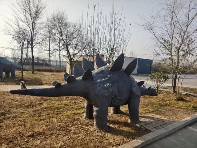 揭秘！诸城服务区为何能成为旅途中的“神秘打卡地”？