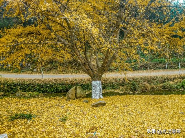 湖北哪个城市最没存在感？