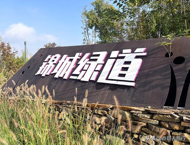 成都被冷落的彩林公园，惊艳无比，不要门票，地铁公交车直达！