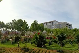 中医药大学重新洗牌：这三所大学位列前三，河南中医药大学第几？图片