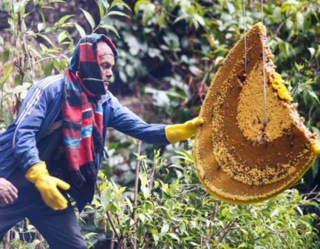 穷得吃垃圾、吃虫维生，富得请菲佣！菲律宾凭啥成全球奇景？