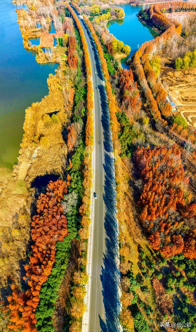 瞰齐鲁|初冬，来济宁赏秋……