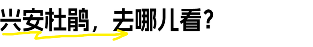 还没结束的花事，槽点太多了！
