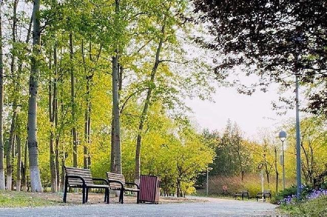 北京奥林匹克森林公园 城市中的绿色明珠