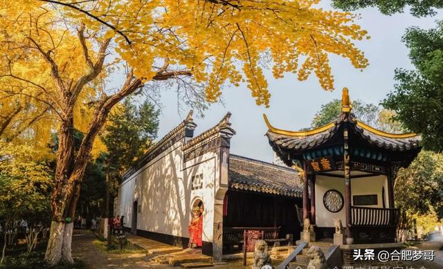 合肥市中心：徽州大道“金色大道”一眼回庐州