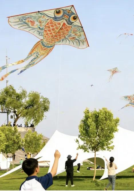 【临沭城投文旅商板块】四大板块联动！赏花、K 歌、音乐会、购物、出游一站式嗨玩