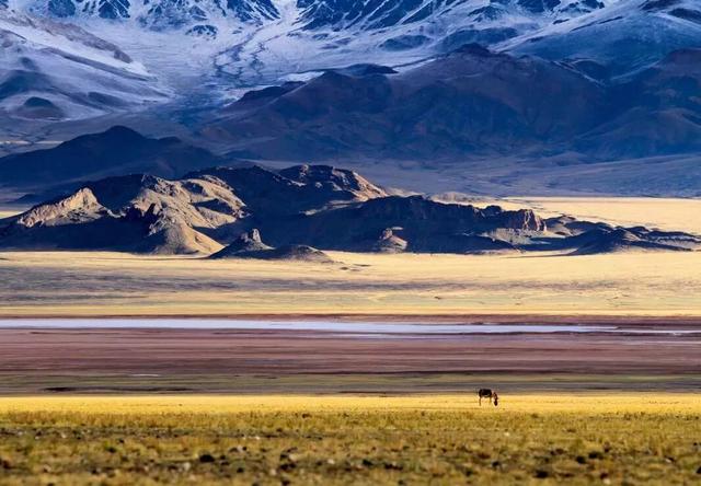 你的第一次旅行去了哪？这些地方藏着最暖的回忆